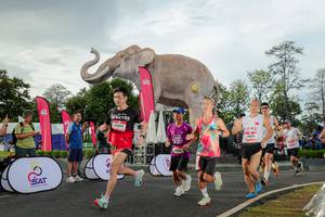 BIB: 
                            <button type="button" onclick="openModal(26528275)" class="btn btn-primary btn-sm float-right btn-popup" data-toggle="modal" data-target=".modal-high-quality">
                        <i class="fas fa-shopping-cart"></i> Add to Cart
                    </button>
                                            <button type="button" onclick="isThisMe(26528275, true)" class="btn btn-success btn-sm float-right btn-popup btn-isme hidden" data-toggle="tooltip" data-placement="bottom" title="นี่คือรูปของคุณใช่ไหม คลิกที่นี่เพื่อเอาเข้าอัลบั้ม">
                        <i class="fas fa-plus"></i> Add to album
                    </button>
                    <button type="button" onclick="isThisMe(26528275, false)" class="btn btn-warning btn-sm float-right btn-popup btn-isnotme hidden">
                        <i class="fas fa-ban"></i> Remove from album
                    </button>